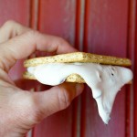 StuffNMallows Smores for glamping | Sweeterville.com