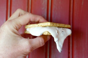 StuffNMallows Smores for glamping | Sweeterville.com
